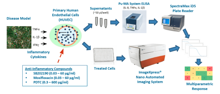 Multi-parametric Human Cell Based Inflammation Assay for Cytokines and ...