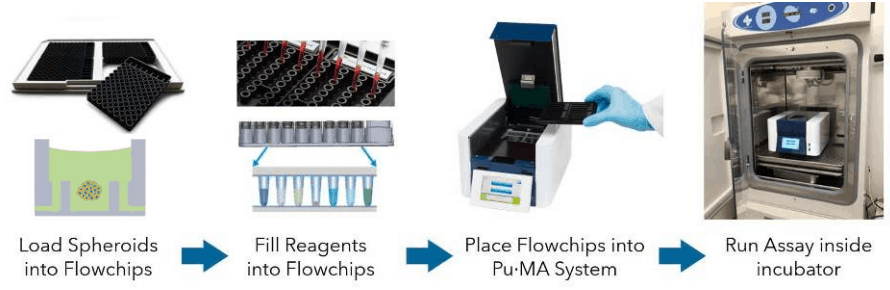 schematic of puma system workflow