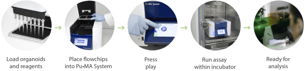 Automated Organoid Assays, In Situ Sampling and In Situ Imaging ...