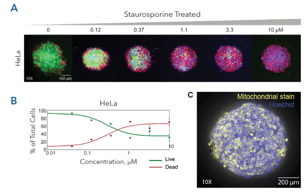 Multifunctional profiling of spheroids